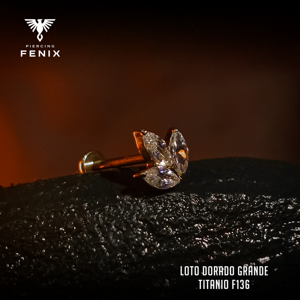 Loto Dorado Grande Tops
