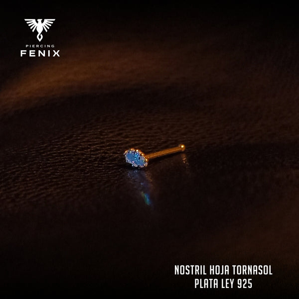 Nostril Hoja Tornasol Tope - Plata Ley 925